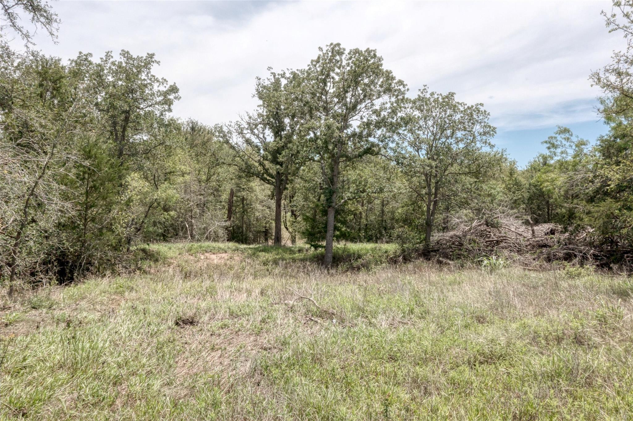279 Earl Callahan Road Cedar Creek TX 78612