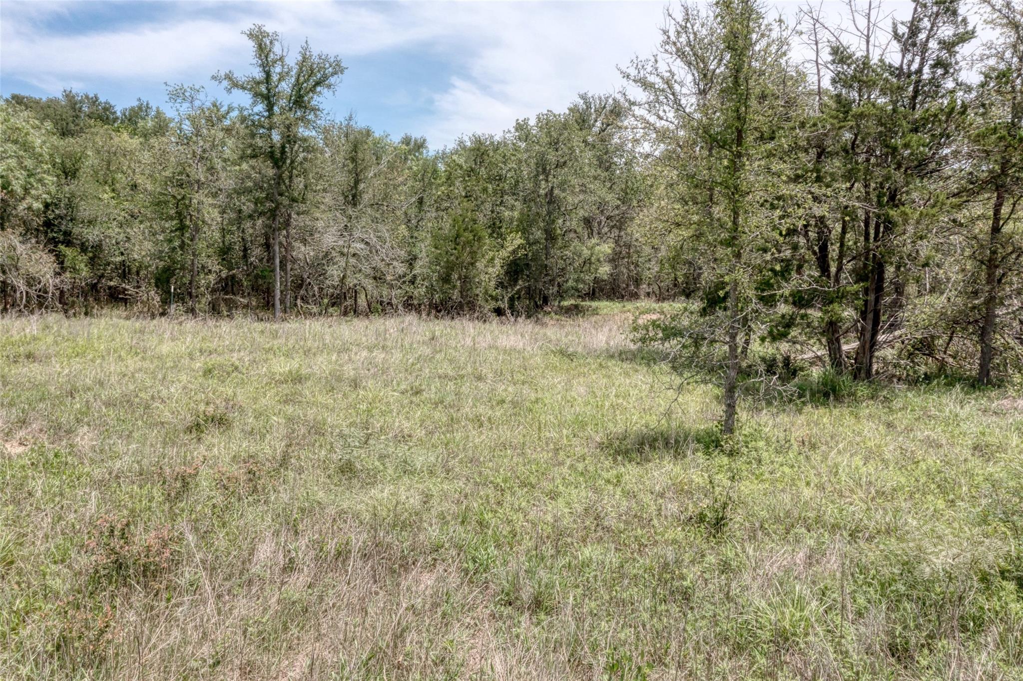 279 Earl Callahan Road Cedar Creek TX 78612