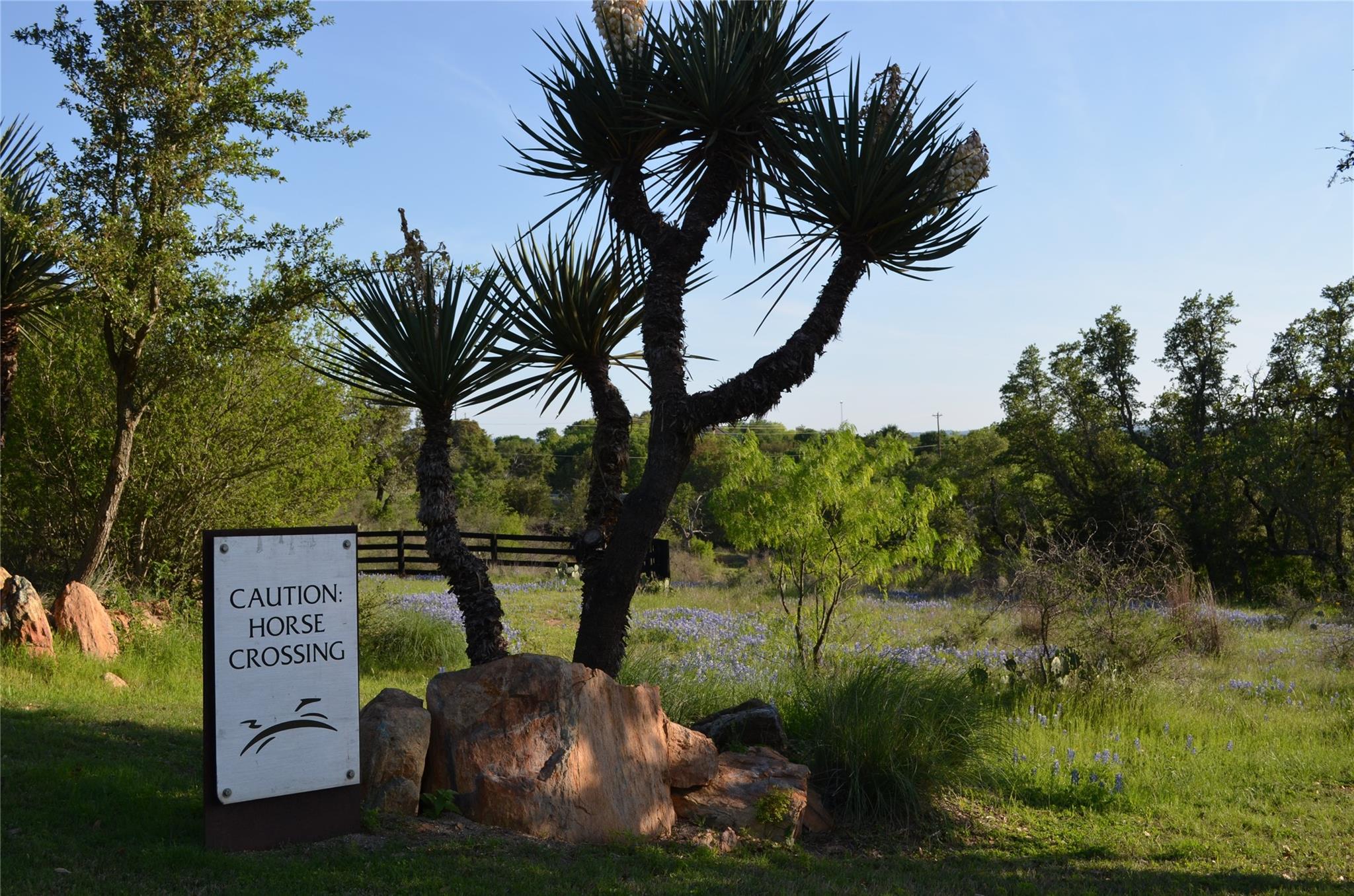 Lot 135 Overlook Parkway Horseshoe Bay TX 78657