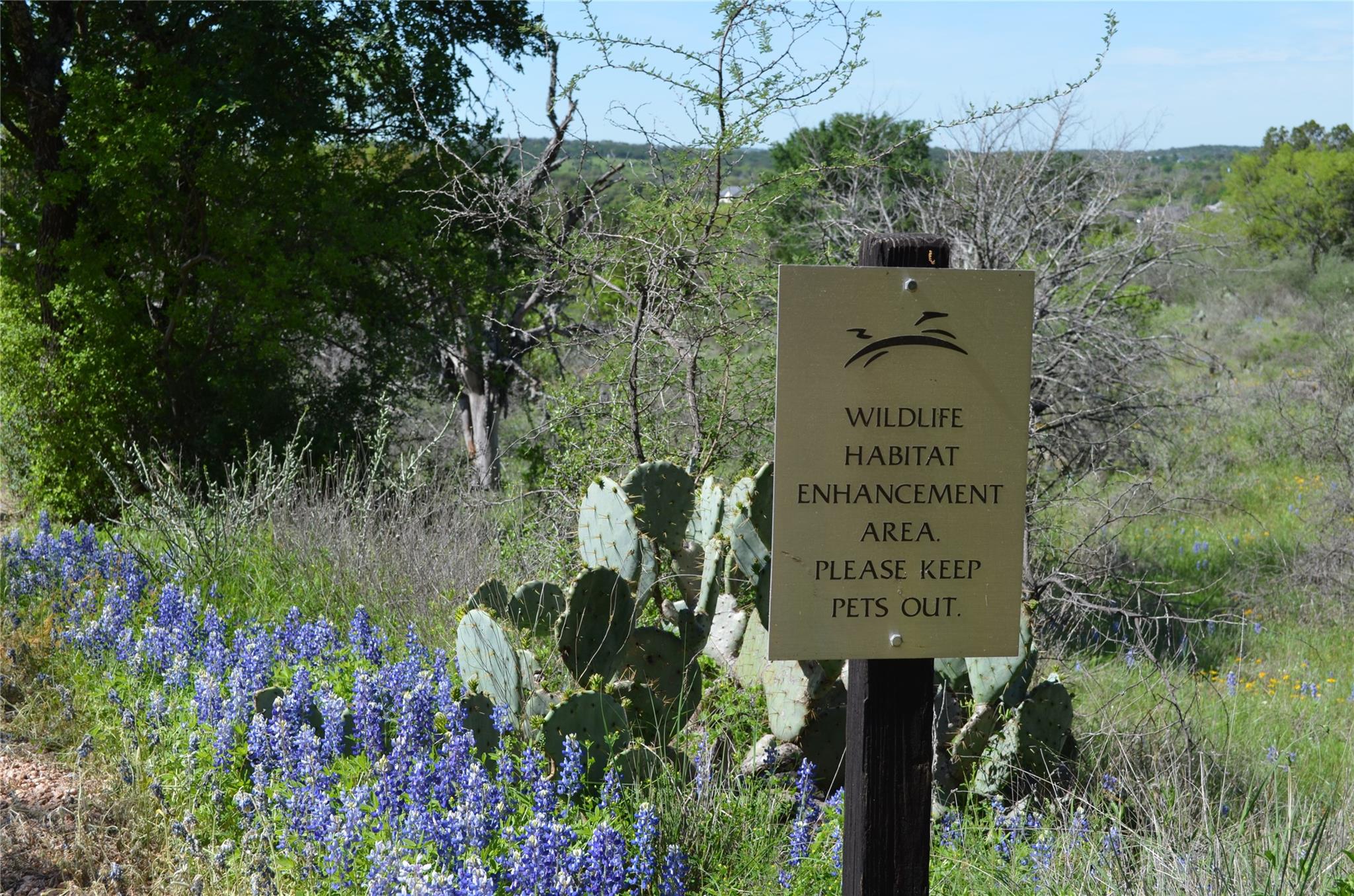 Lot 135 Overlook Parkway Horseshoe Bay TX 78657