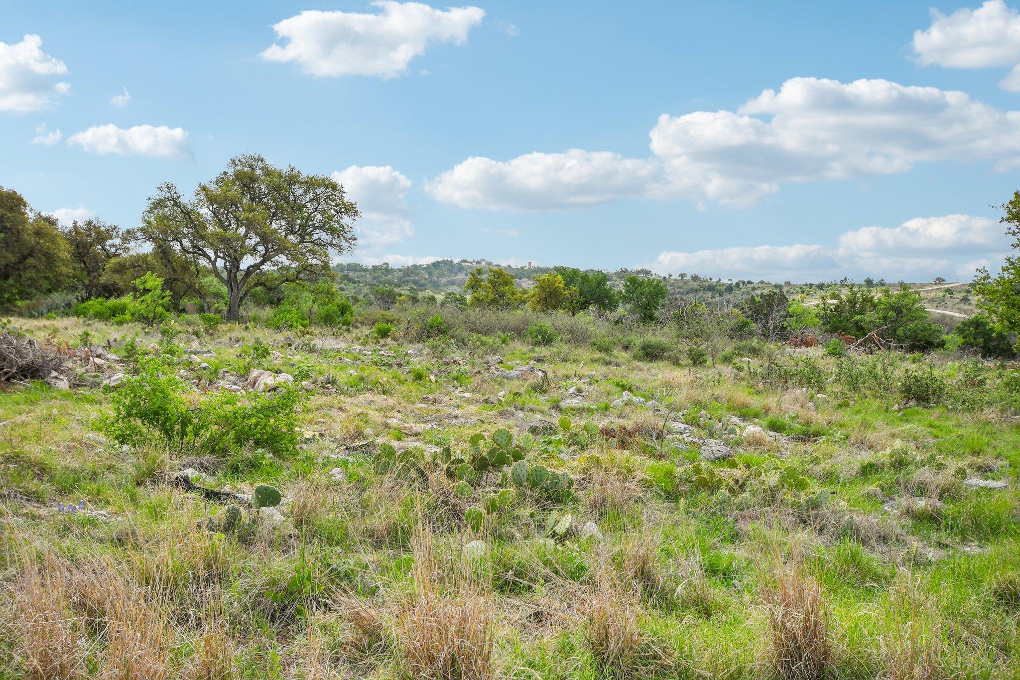 350 Big Creek Drive Kingsland TX 78639