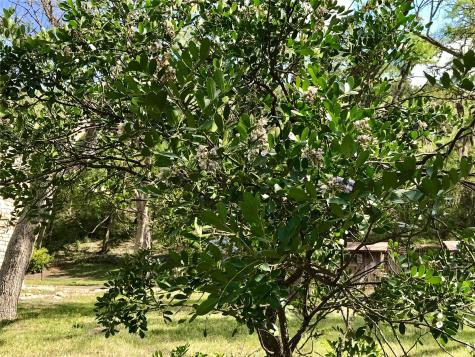 1113 Hidden Valley Road Wimberley TX 78676