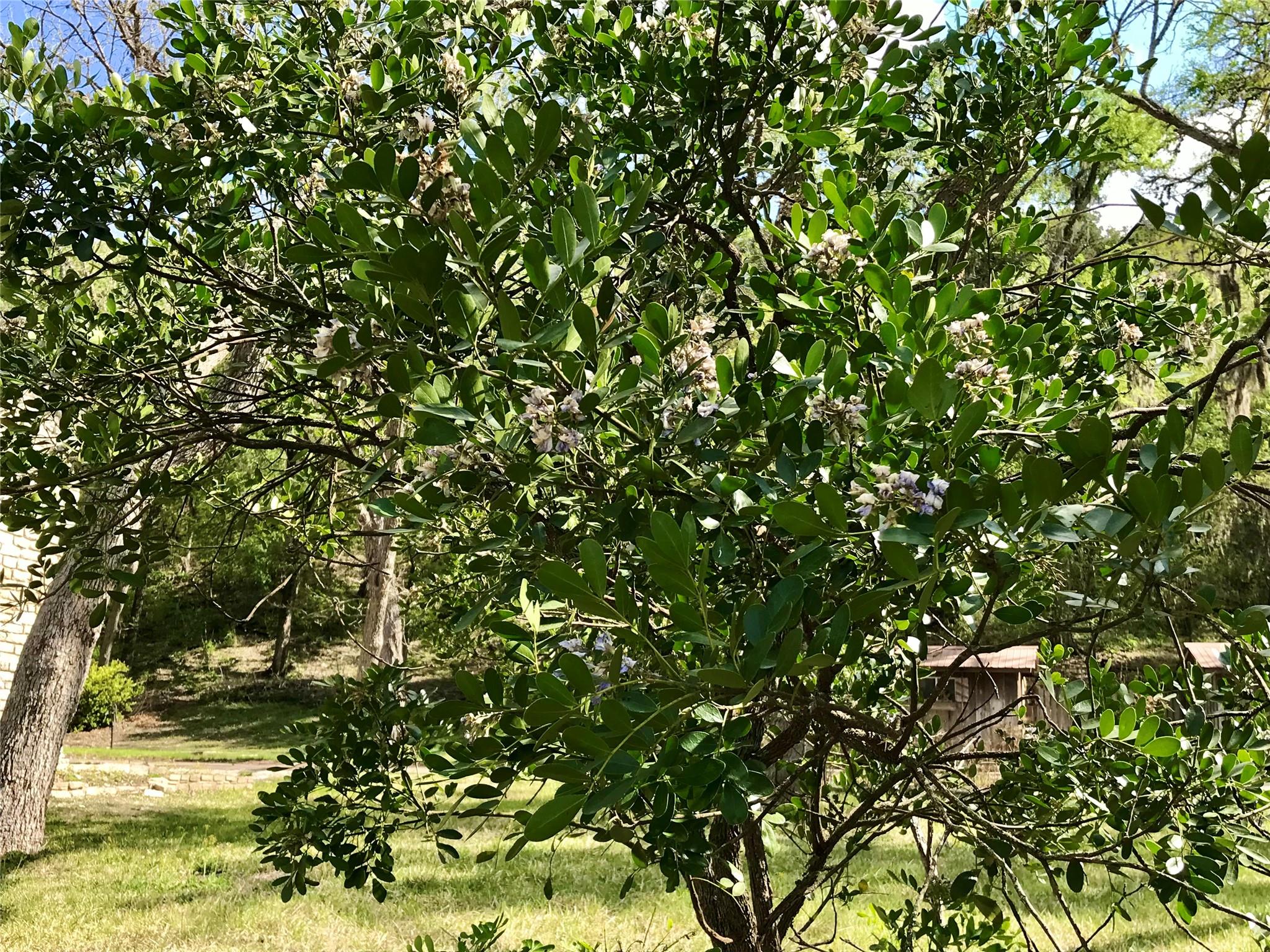 1113 Hidden Valley Road Wimberley TX 78676