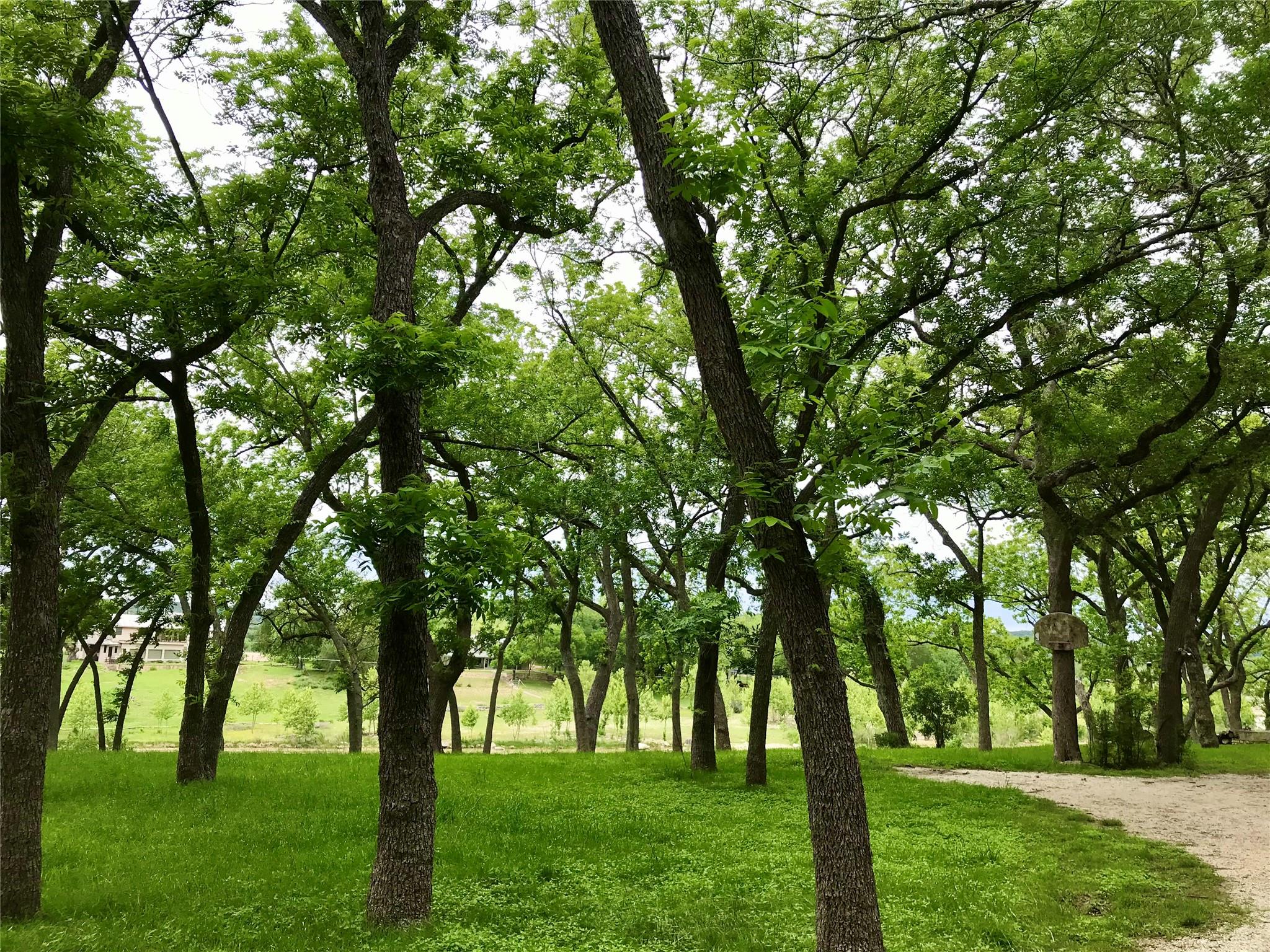 1113 Hidden Valley Road Wimberley TX 78676