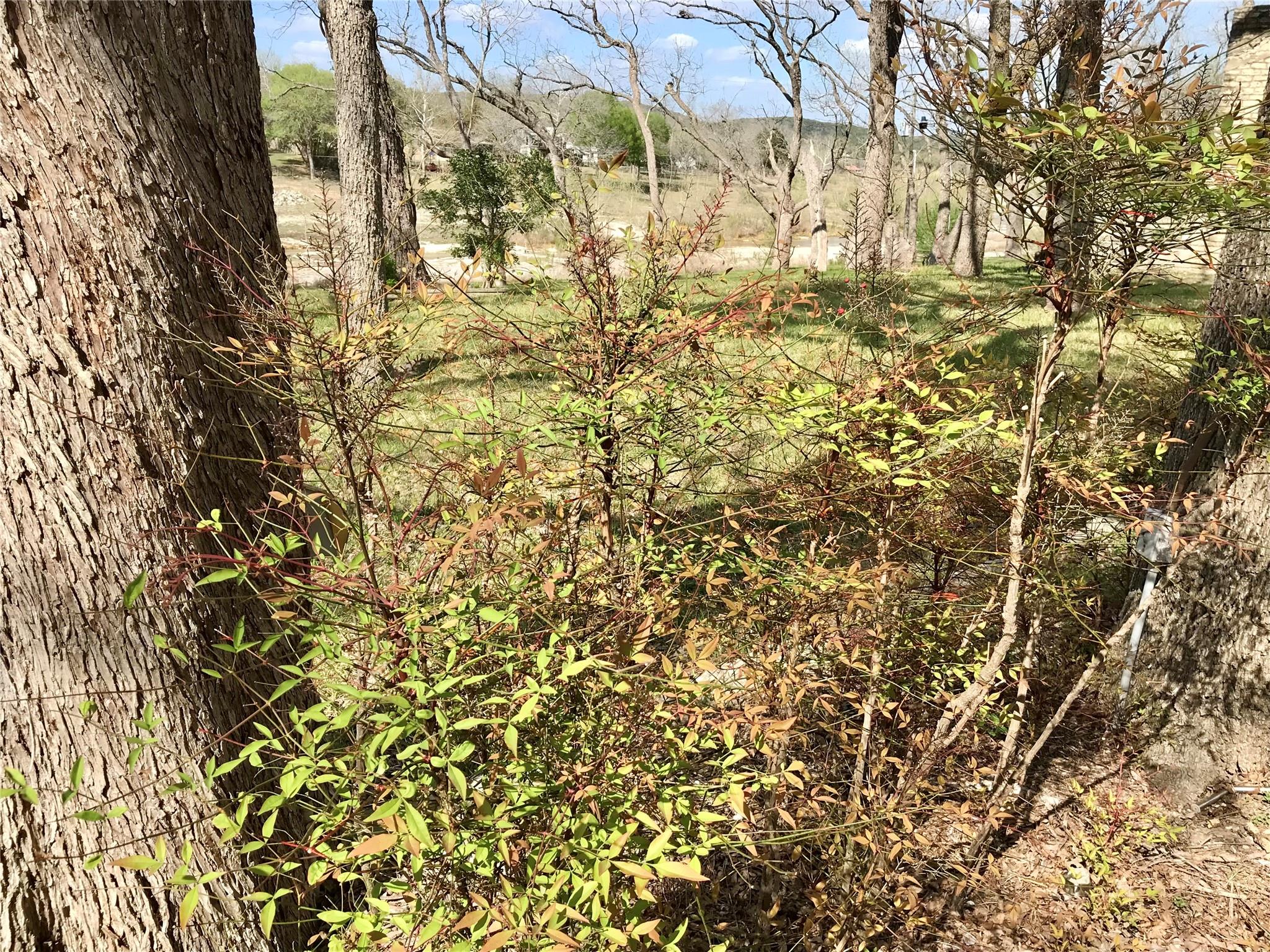 1113 Hidden Valley Road Wimberley TX 78676