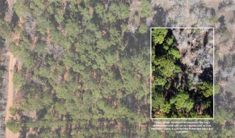 0 Pine Lodge Drive Lot 26 Bastrop TX 78602