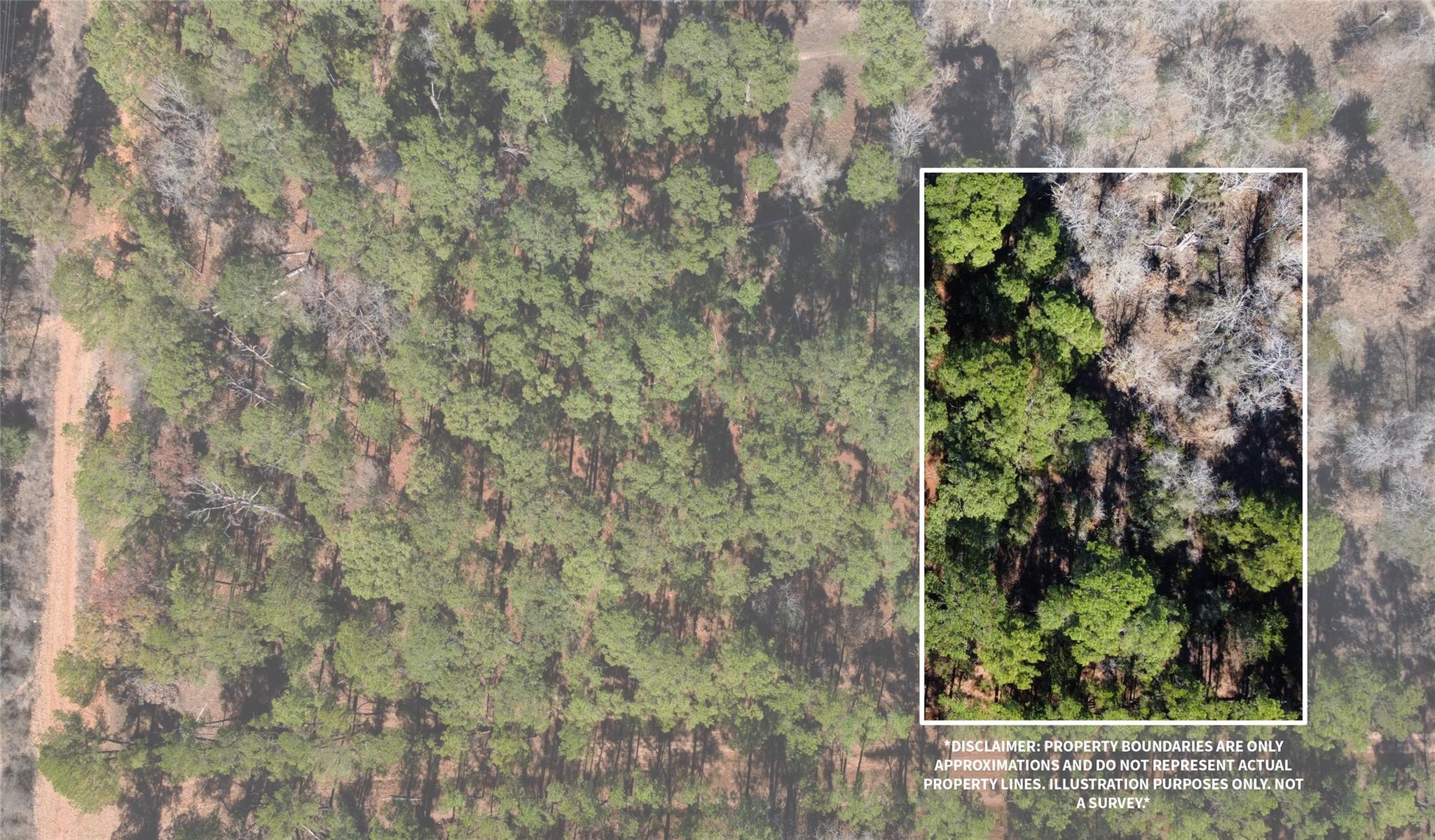 0 Pine Lodge Drive Lot 26 Bastrop TX 78602