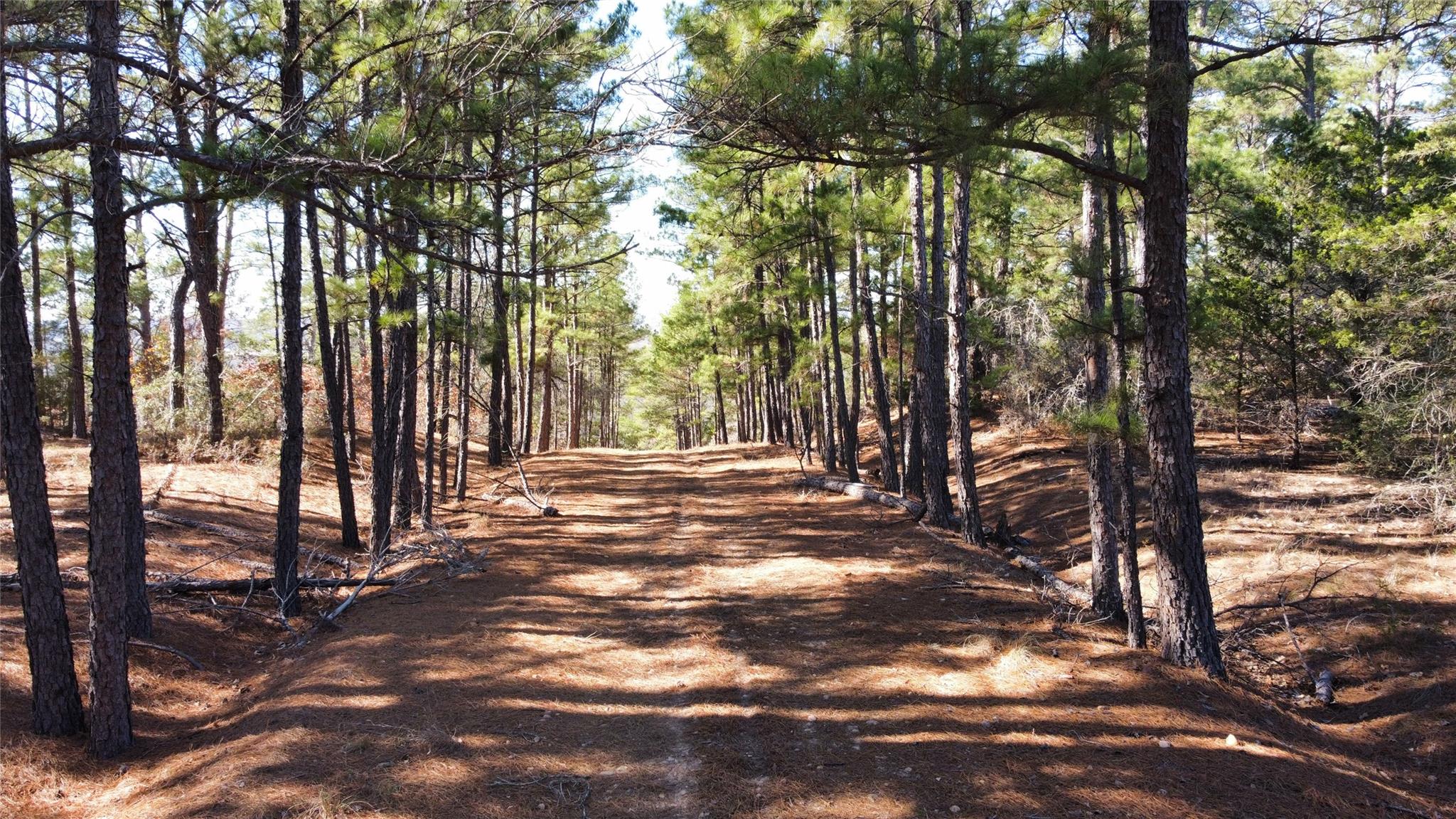 0 Pine Lodge Drive Lot 26 Bastrop TX 78602