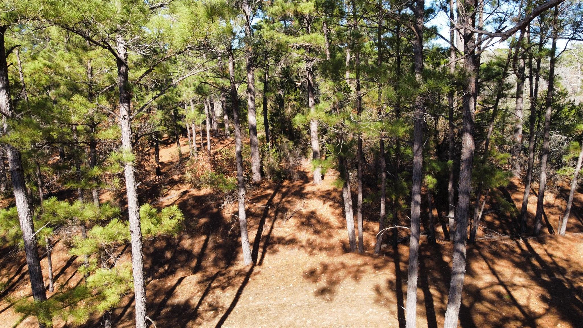 0 Pine Lodge Drive Lot 26 Bastrop TX 78602