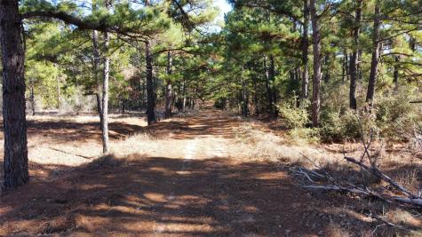 0 Pine Lodge Drive Lot 26 Bastrop TX 78602