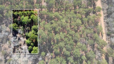 0 Pine Lodge Drive Lot 26 Bastrop TX 78602