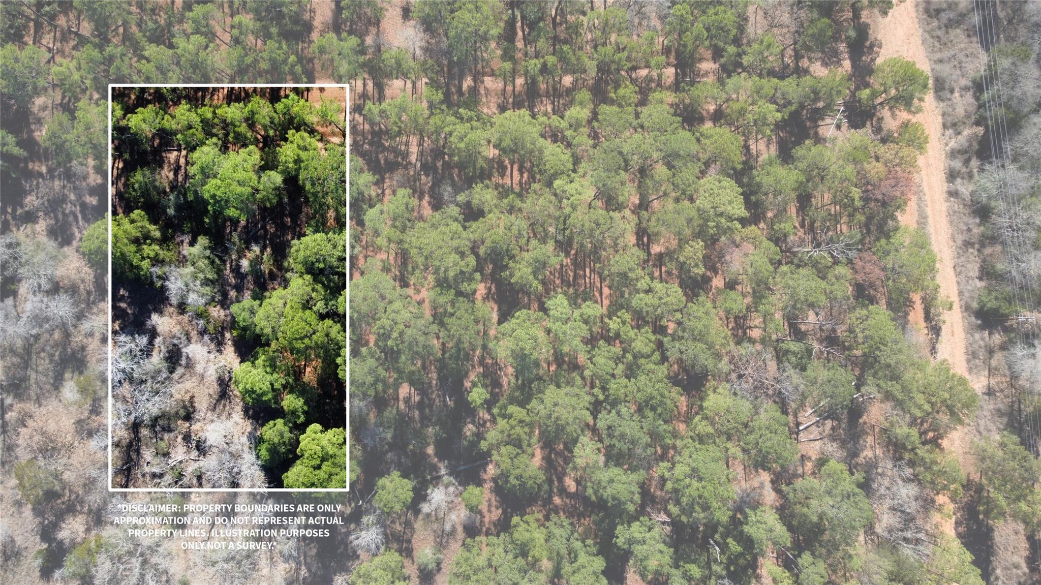 0 Pine Lodge Drive Lot 26 Bastrop TX 78602