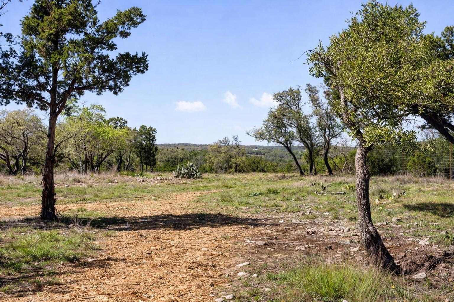 000 Spring Valley Drive Dripping Springs TX 78620