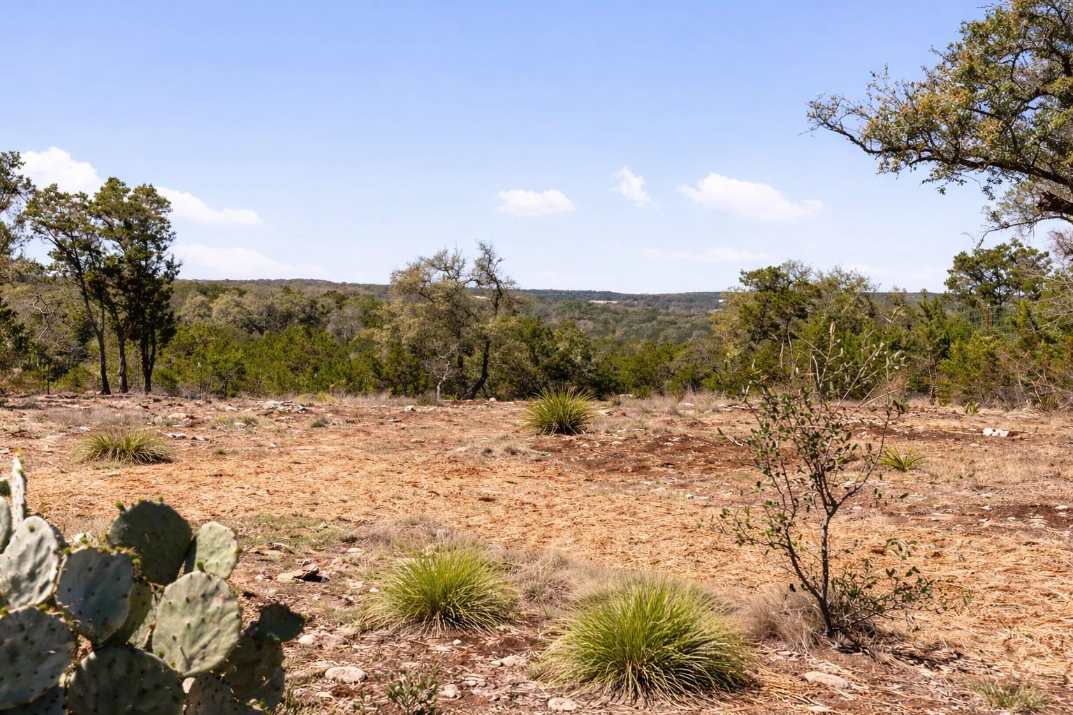 000 Spring Valley Drive Dripping Springs TX 78620