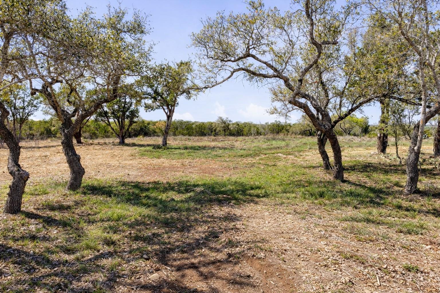 000 Spring Valley Drive Dripping Springs TX 78620