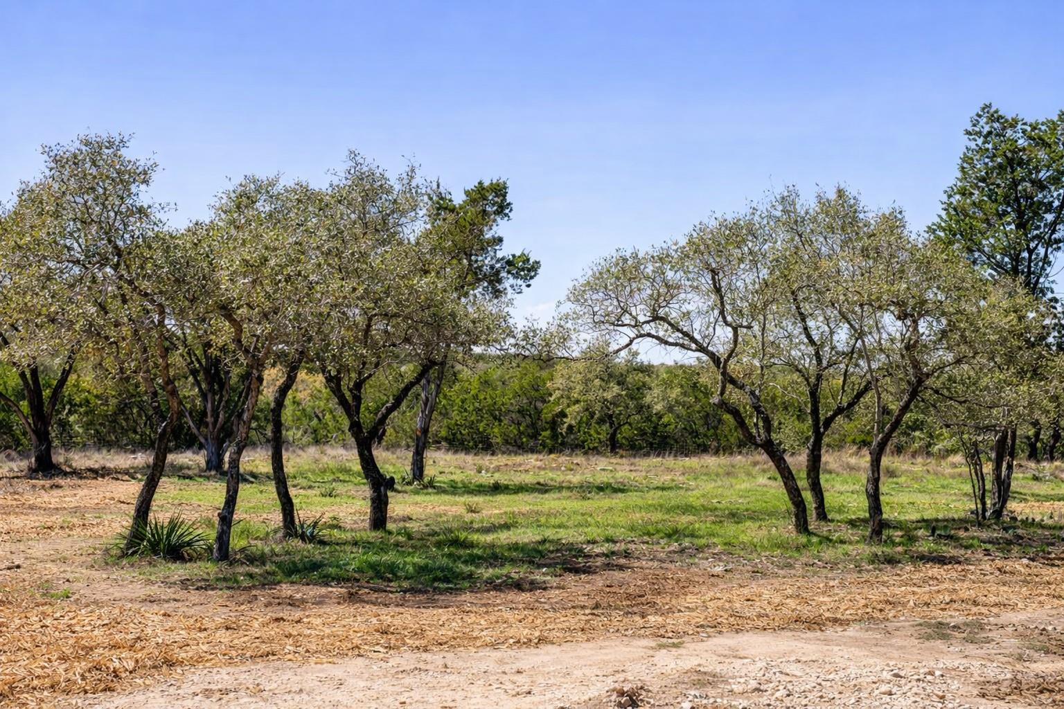 000 Spring Valley Drive Dripping Springs TX 78620