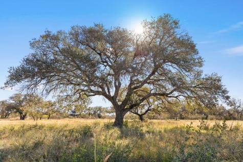 Tract 9 Pedernales Canyon Trail Spicewood TX 78669