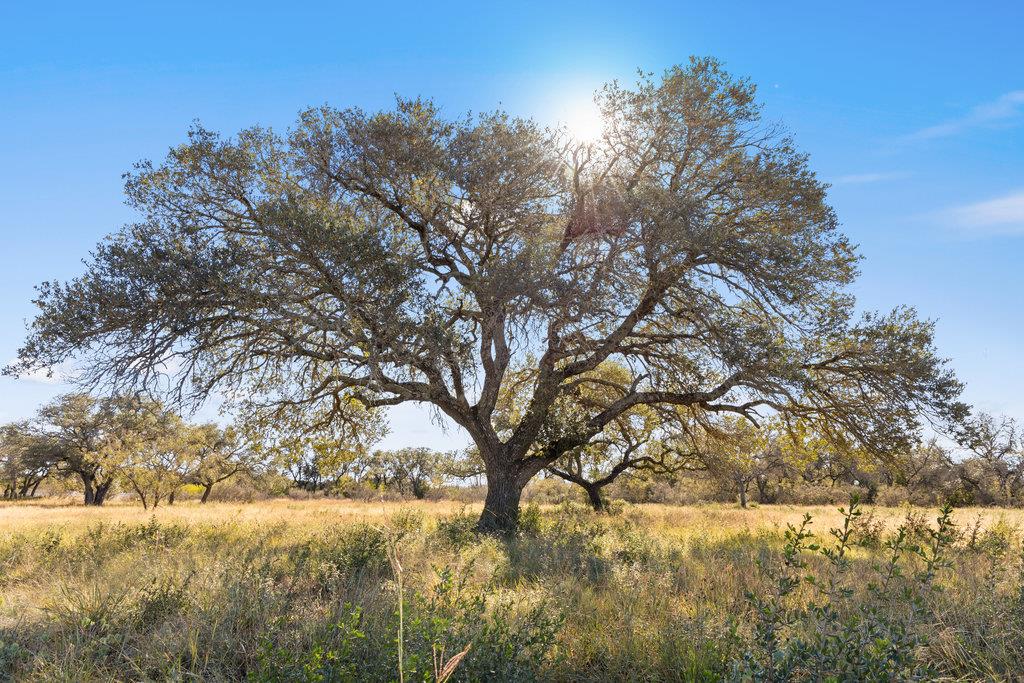Tract 9 Pedernales Canyon Trail Spicewood TX 78669