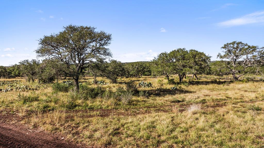 Tract 9 Pedernales Canyon Trail Spicewood TX 78669
