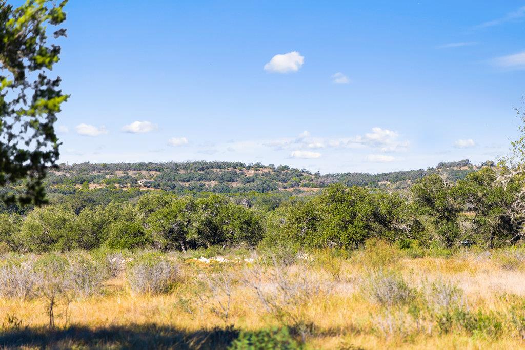 Tract 9 Pedernales Canyon Trail Spicewood TX 78669