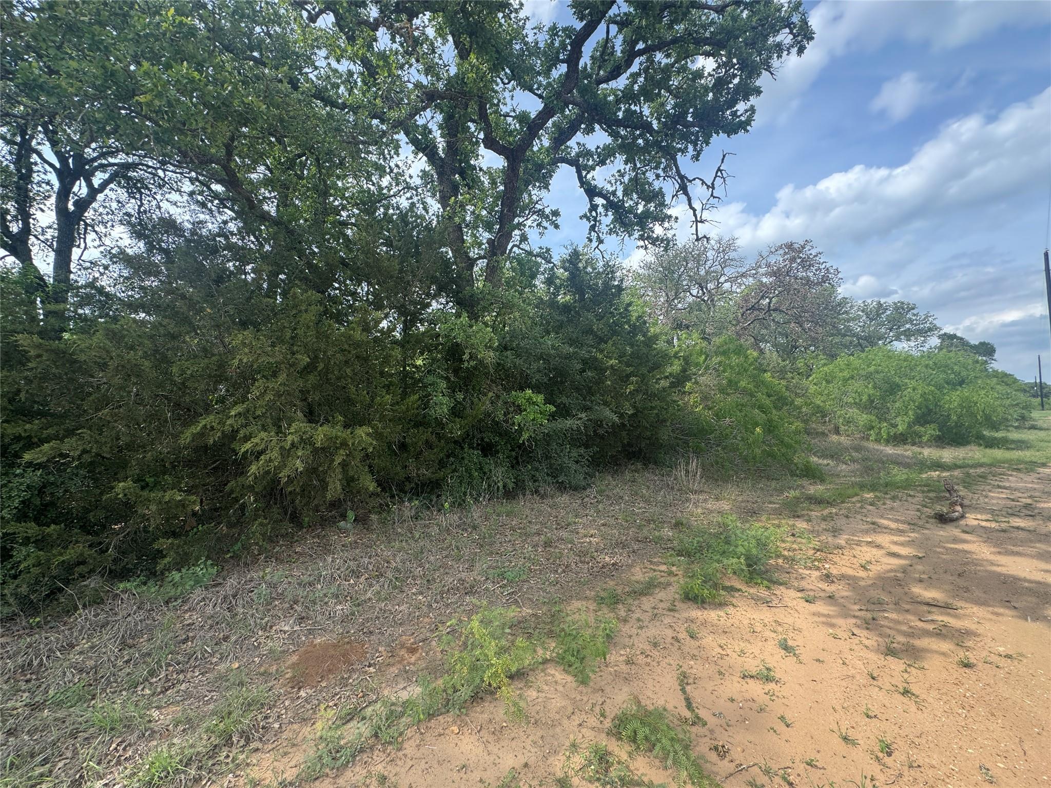104 Cisco Court Cedar Creek TX 78612