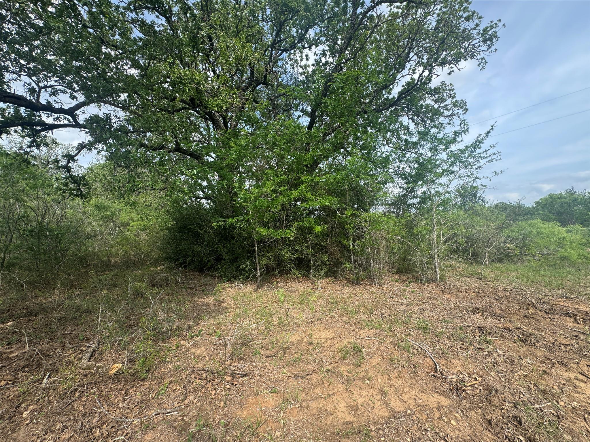 104 Cisco Court Cedar Creek TX 78612