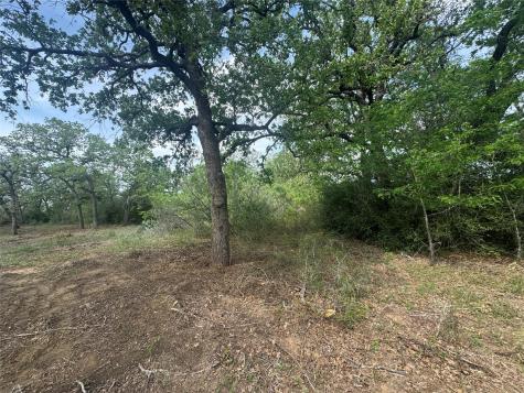 104 Cisco Court Cedar Creek TX 78612