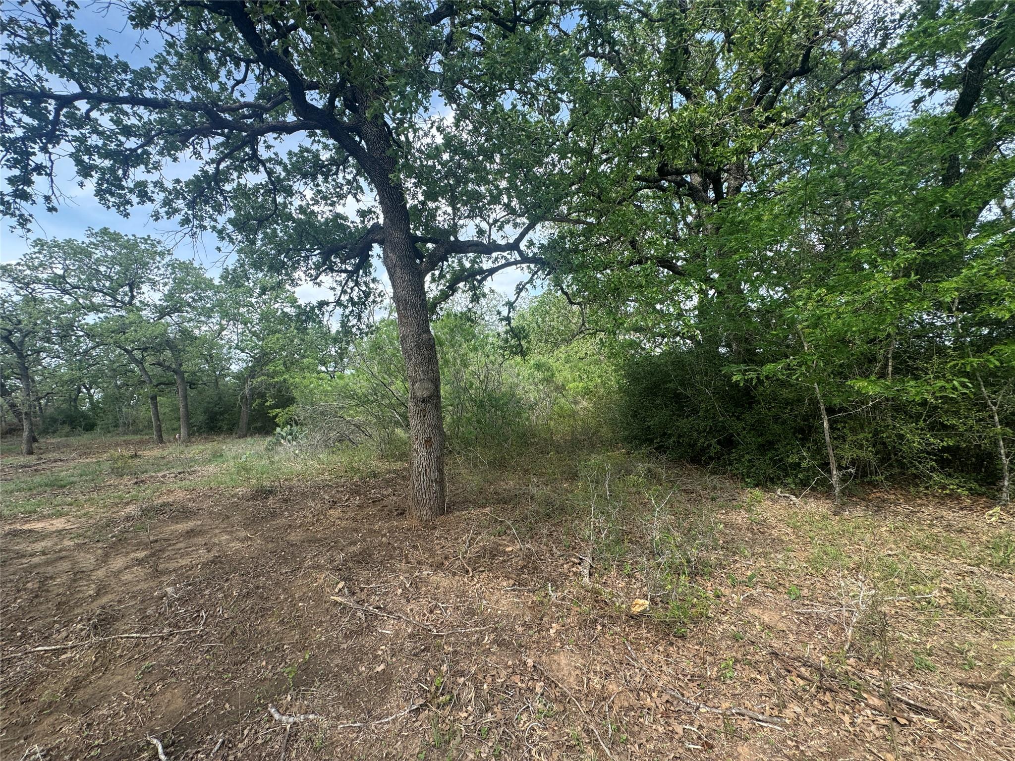 104 Cisco Court Cedar Creek TX 78612