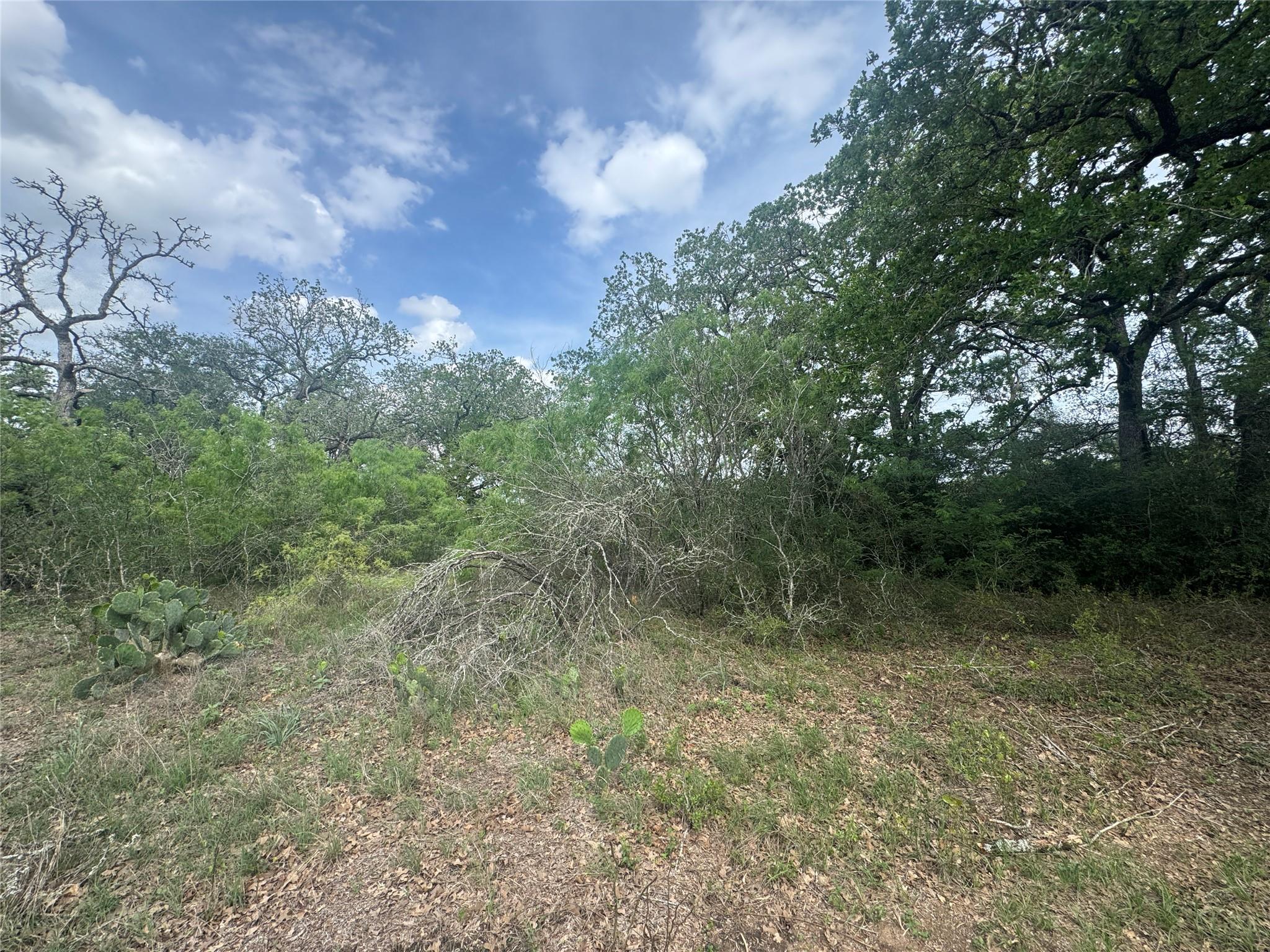 104 Cisco Court Cedar Creek TX 78612