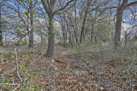 Tbd Fm 2440 Giddings TX 78942