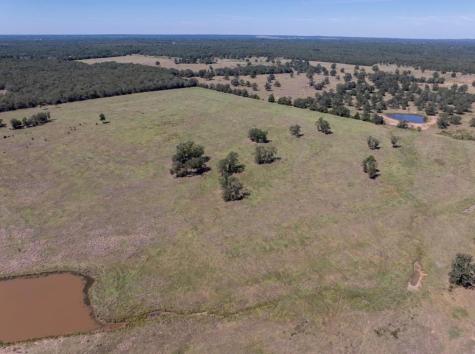 1078 Old Pin Oak Road Paige TX 78659