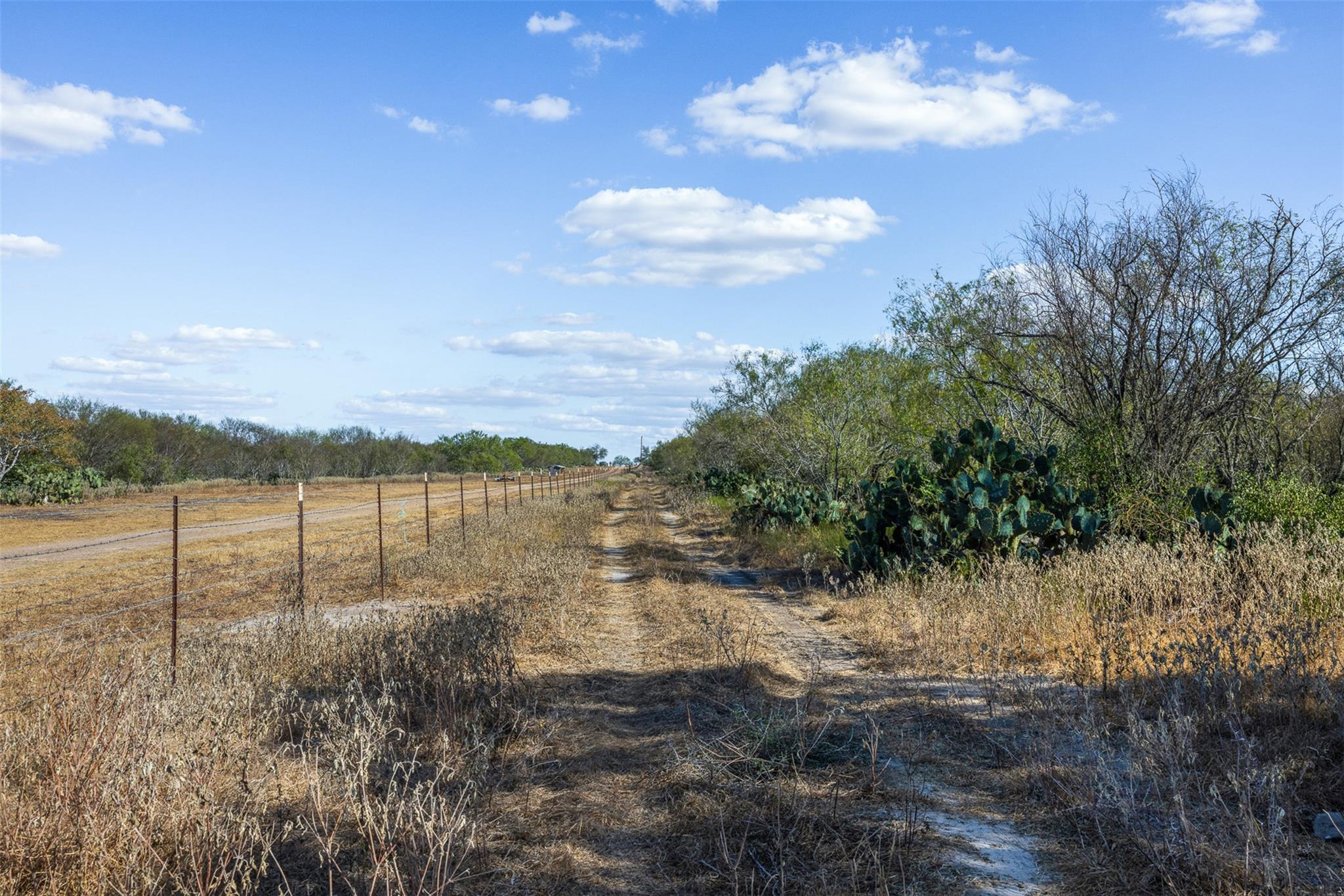Lot 12 County Road 211 Smiley TX 78159