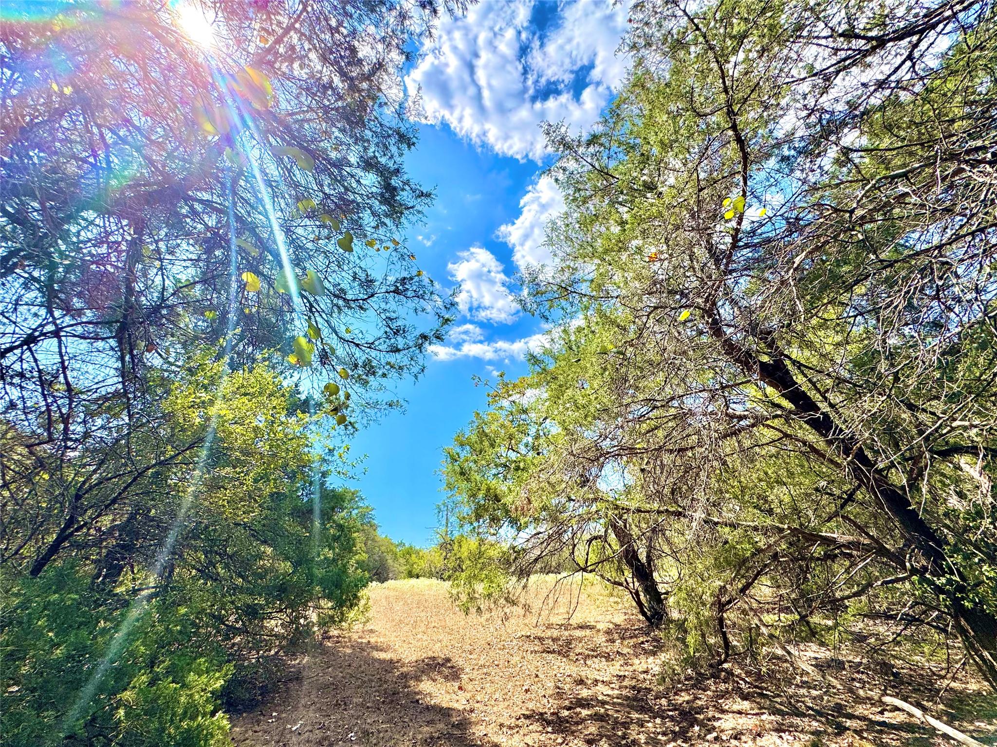 Tbd 50.62 Acres Rabel Road Rosanky TX 78953