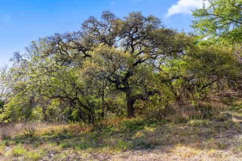 12130 Fitzhugh Place Dripping Springs TX 78620