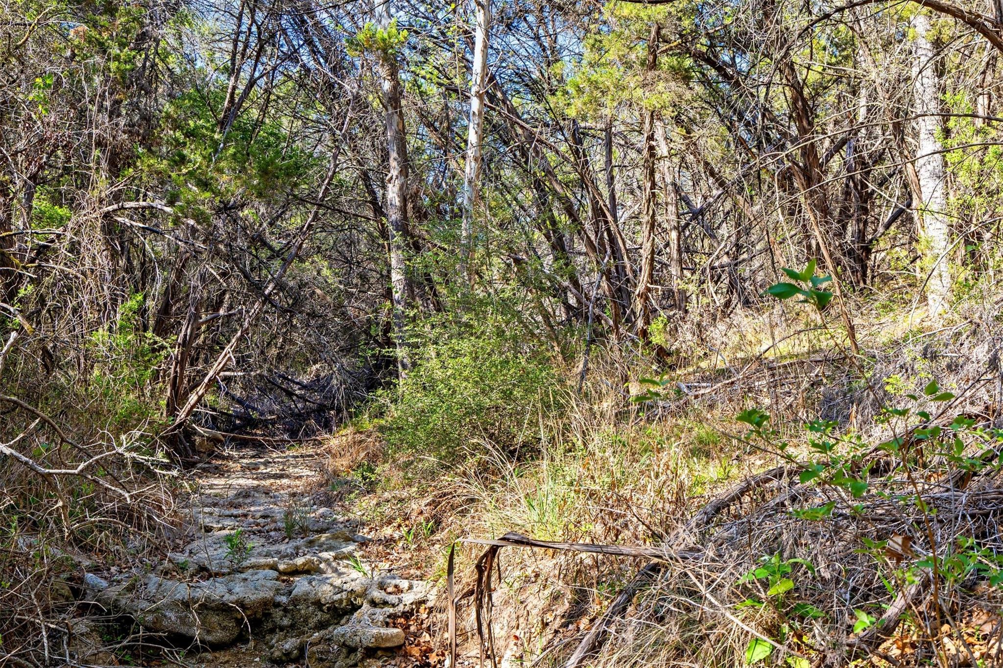 12130 Fitzhugh Place Dripping Springs TX 78620