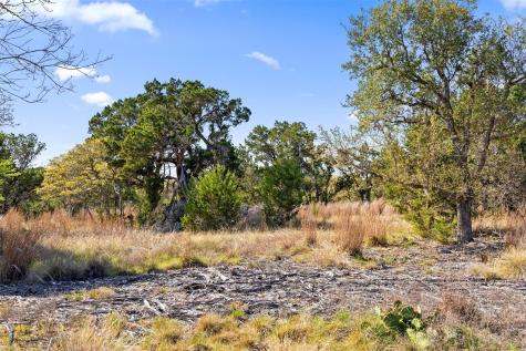 12130 Fitzhugh Place Dripping Springs TX 78620