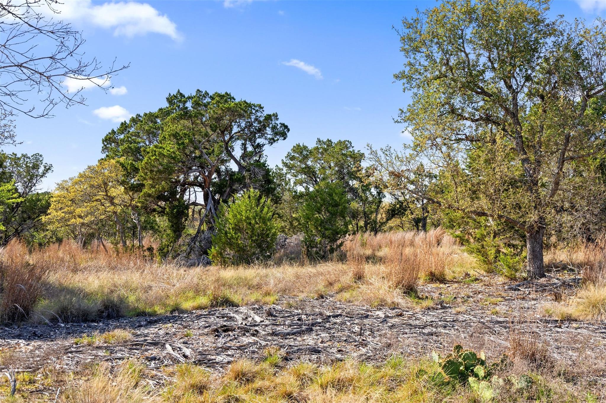 12130 Fitzhugh Place Dripping Springs TX 78620