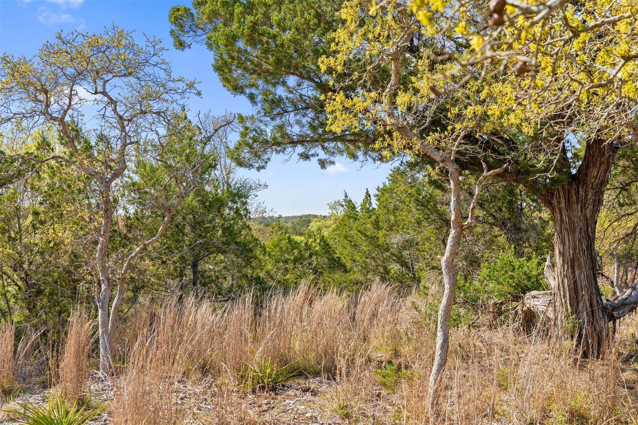 12130 Fitzhugh Place Dripping Springs TX 78620