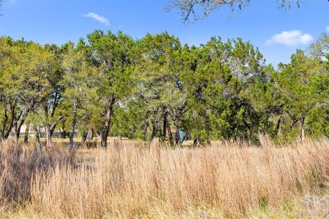 12130 Fitzhugh Place Dripping Springs TX 78620