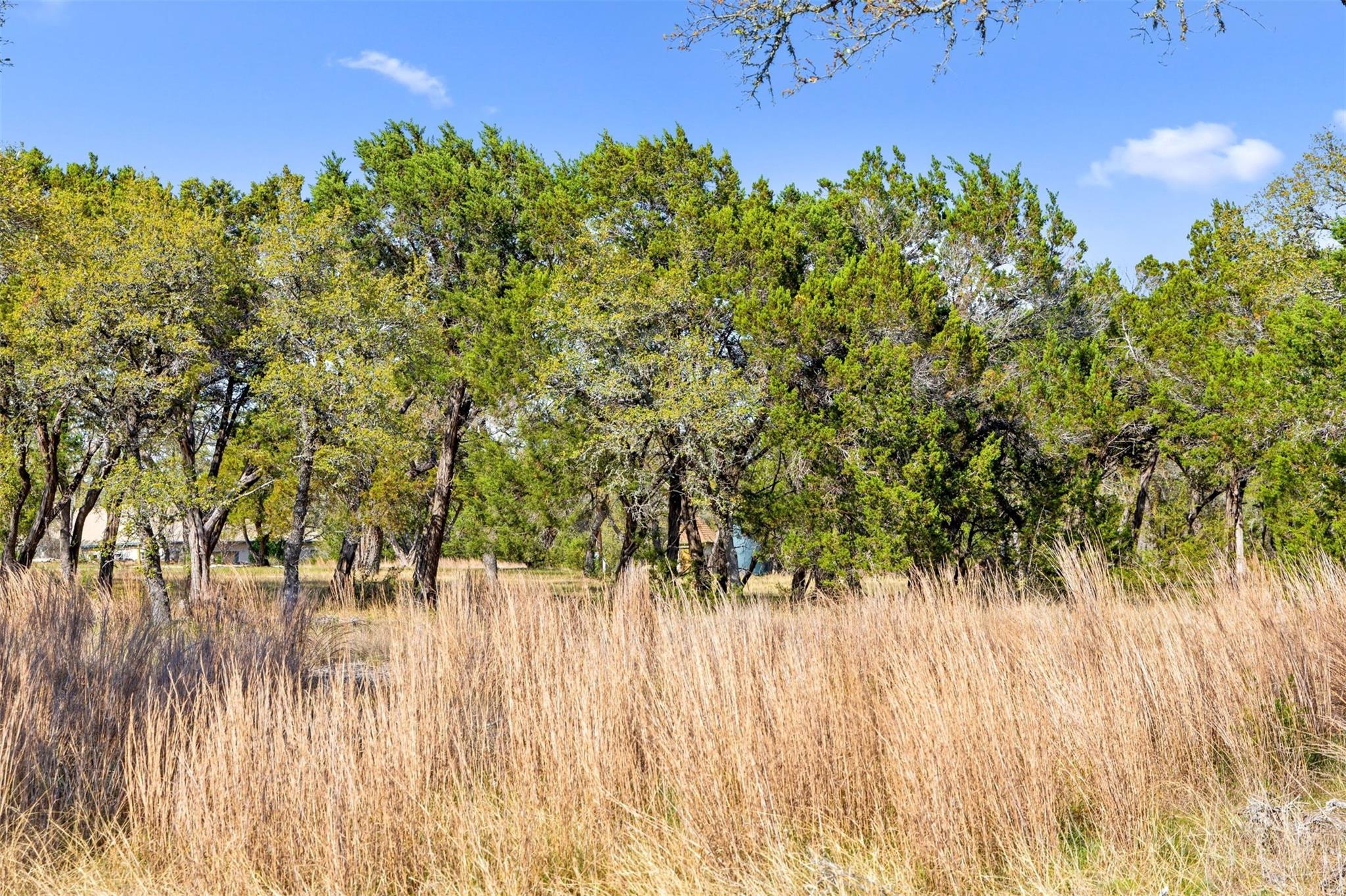 12130 Fitzhugh Place Dripping Springs TX 78620