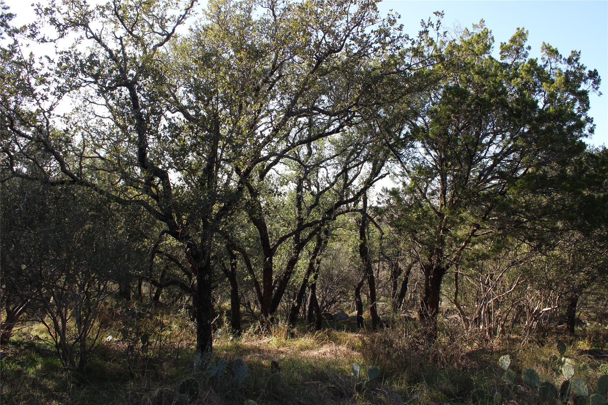 505 Saddle Horn Horseshoe Bay TX 78657