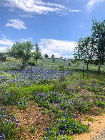 1006 Sandy Harbor Drive Horseshoe Bay TX 78657