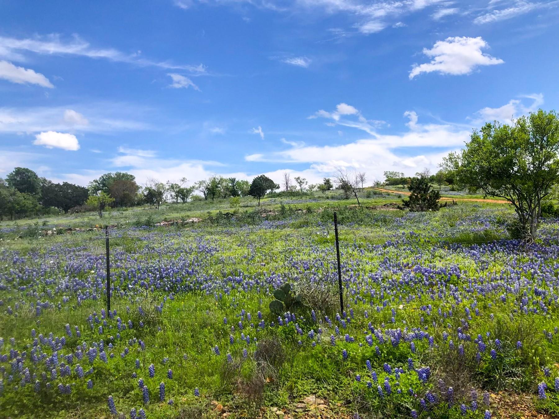 1006 Sandy Harbor Drive Horseshoe Bay TX 78657
