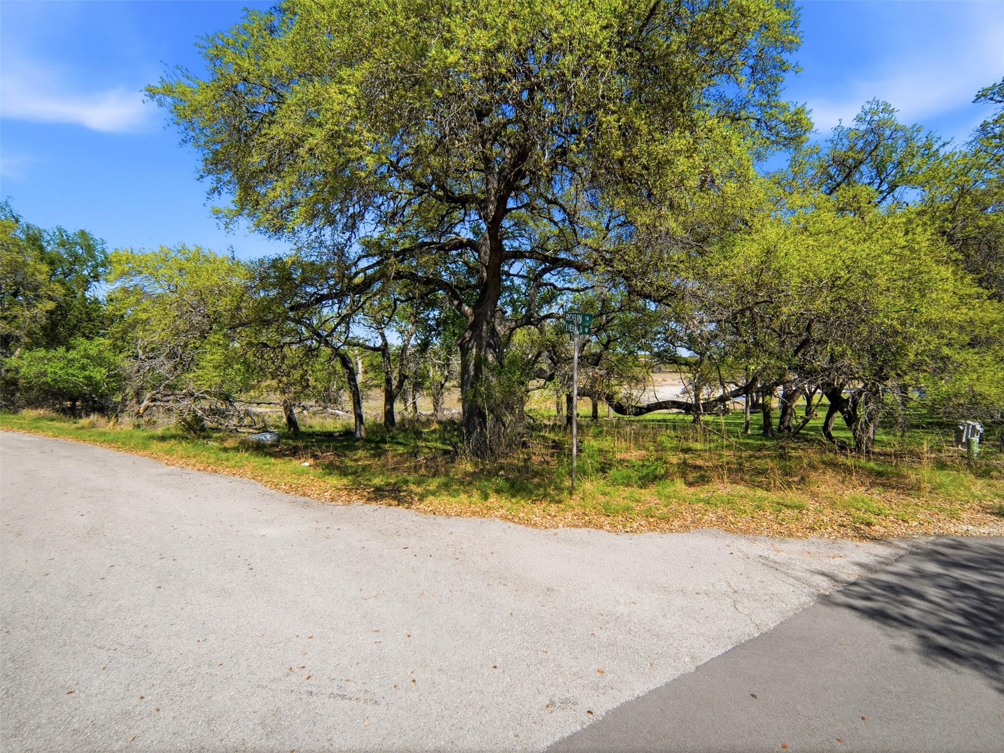 1309 Emerald Road Lago Vista TX 78645