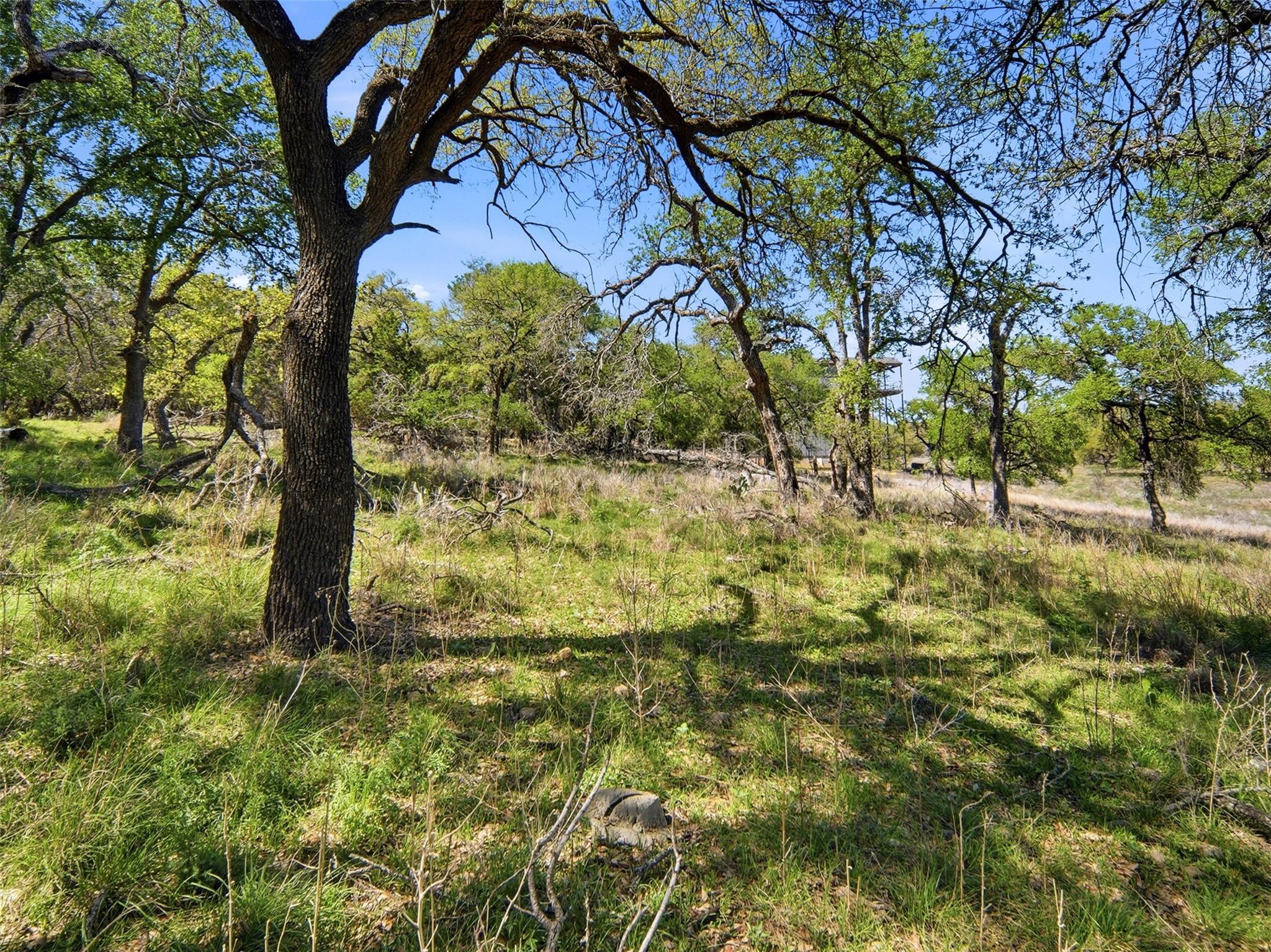 1309 Emerald Road Lago Vista TX 78645