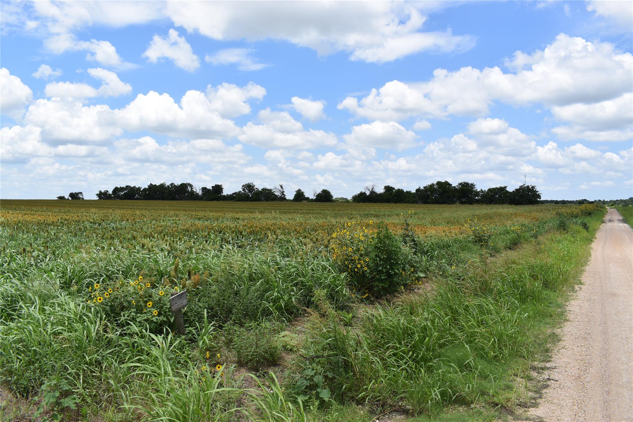 Tbd County Road 109 Buckholts TX 76518