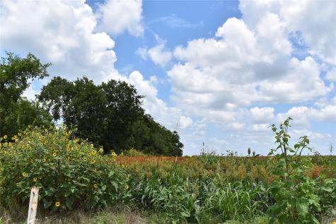 Tbd County Road 109 Buckholts TX 76518