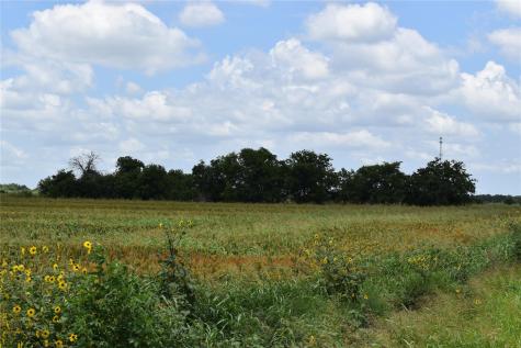 0 County Road 109 Buckholts TX 76518