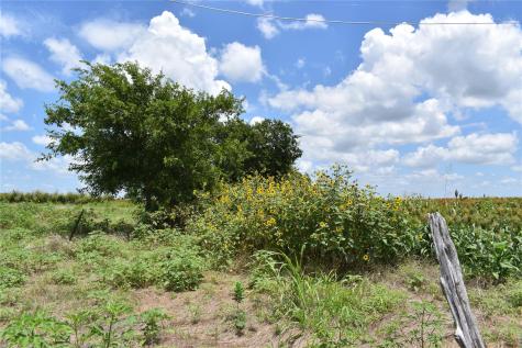 Tbd County Road 109 Buckholts TX 76518