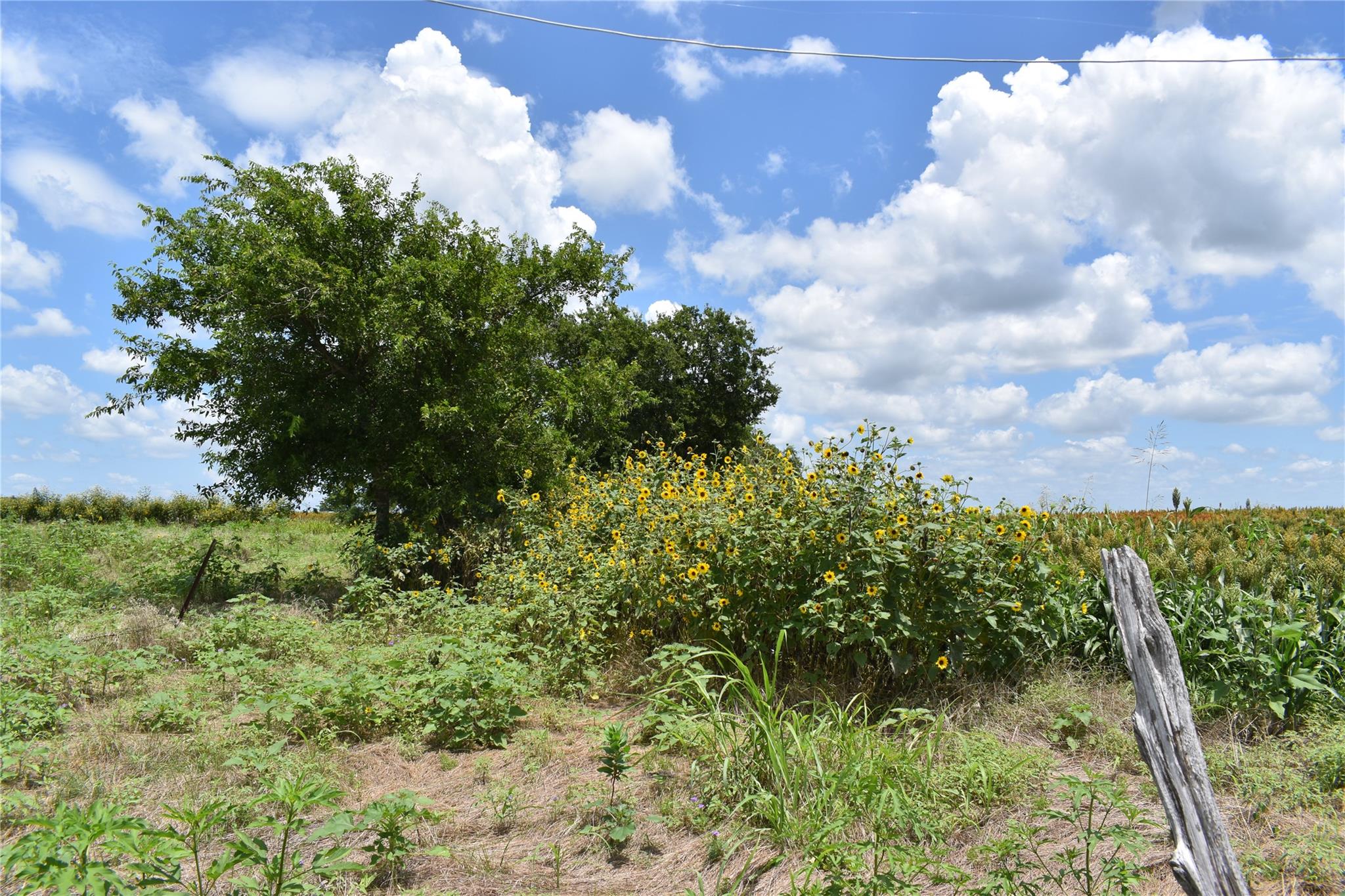 Tbd County Road 109 Buckholts TX 76518